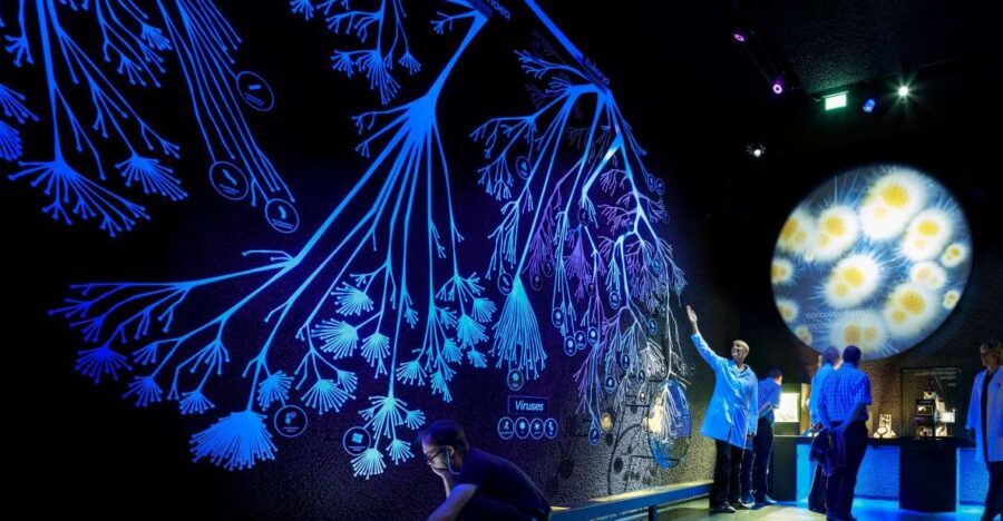Amsterdam: ARTIS-Micropia Microbe Museum Entry Ticket - Price and value: is $21 a fair deal?
