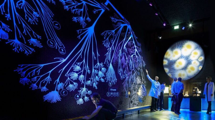 Amsterdam: ARTIS-Micropia Microbe Museum Entry Ticket - Practical tips: timing, languages, and small comfort details