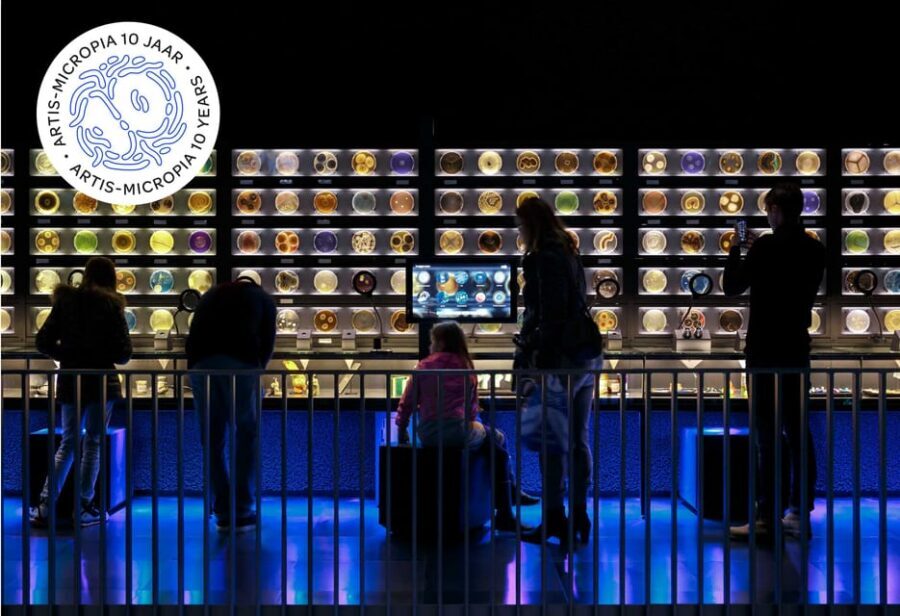 Amsterdam: Artis Royal Zoo & ARTIS-Micropia Combo Ticket - ARTIS + Micropia: a one-day Amsterdam reset
