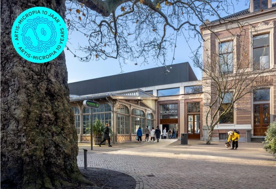 Amsterdam: Artis Royal Zoo & ARTIS-Micropia Combo Ticket - Asian small-clawed otters and red pandas: the next enclosures to catch