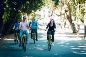 Amsterdam Bike Rental: Central Station & City Center - Bike fit and comfort: the adjustable parts you’ll actually feel