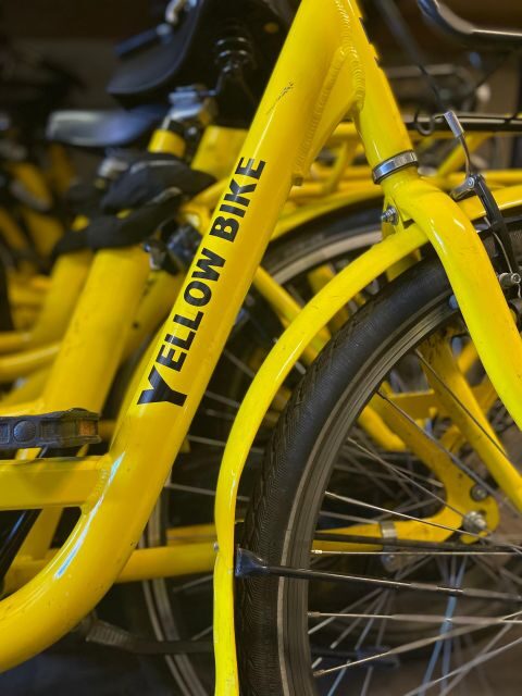 Amsterdam Bike Rental: Central Station & City Center - Locking up in Amsterdam: ring lock plus extra chain option