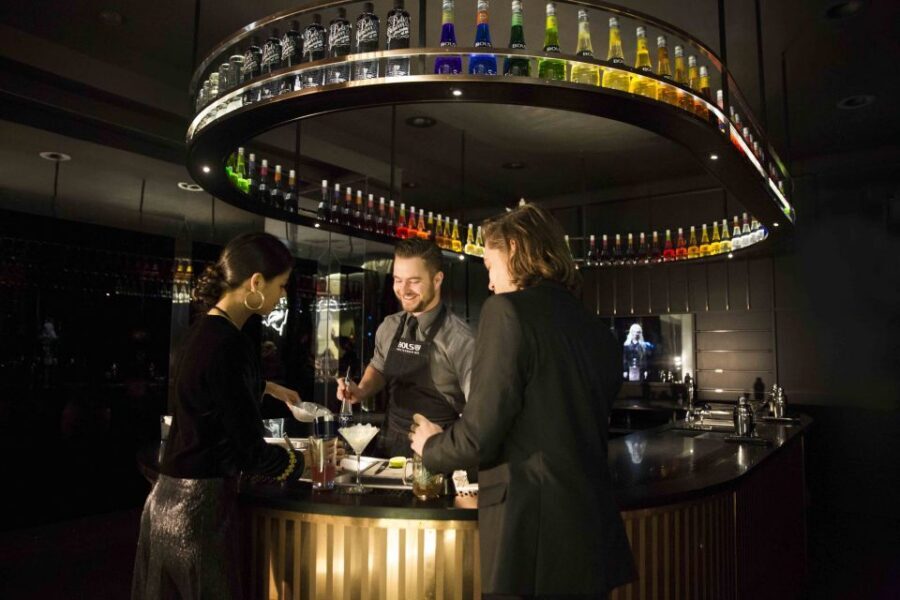 Amsterdam: Bols Cocktail Experience and Cocktail Workshop - Drinks You Might Make: Martinis, Lime/Gin Styles, and More