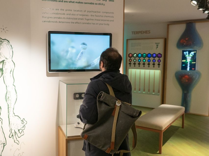 Amsterdam: Cannabis Museum Entry Ticket - Key points worth knowing before you go