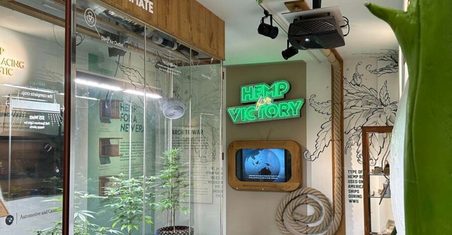Amsterdam: Cannabis Museum Entry Ticket - Live plants, microscope moments, and the “science” section that actually helps