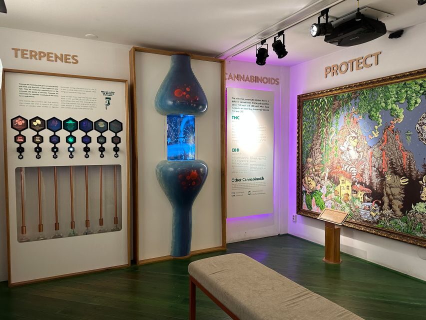 Amsterdam: Cannabis Museum Entry Ticket - Time it right: when to arrive so you don’t feel rushed