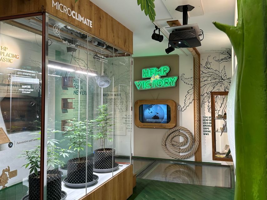 Amsterdam: Cannabis Museum Entry Ticket - How the 3-floor layout keeps the experience moving