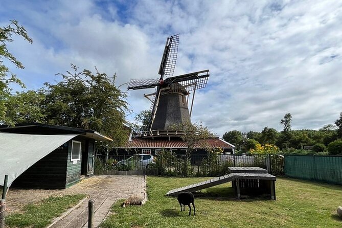 Amsterdam Countryside Bike and Kayak Tour - The bike ride: quiet Dutch trails, cable-ferry fun, and real open-air legs