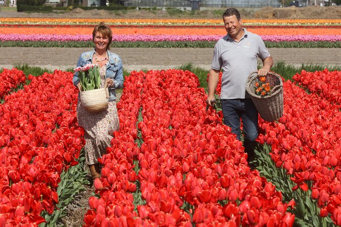 Amsterdam: Day trip to Tulip Farm, Keukenhof + Windmill Cruise - Starting at This is Holland: where the day actually begins