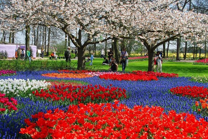 Amsterdam: Day trip to Tulip Farm, Keukenhof + Windmill Cruise - The bus ride through tulip country: what the transit really adds