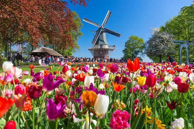 Amsterdam: Day trip to Tulip Farm, Keukenhof + Windmill Cruise - How the day flows (and why the timing matters)