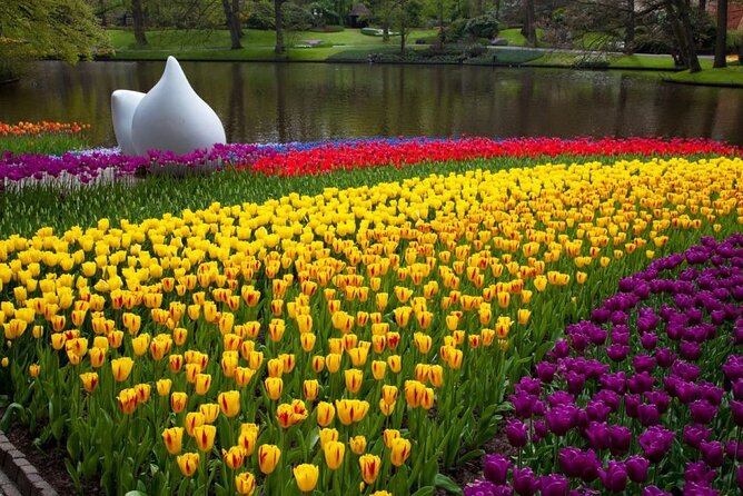 Amsterdam: Day trip to Tulip Farm, Keukenhof + Windmill Cruise - Price and value: is $102.23 a smart buy?