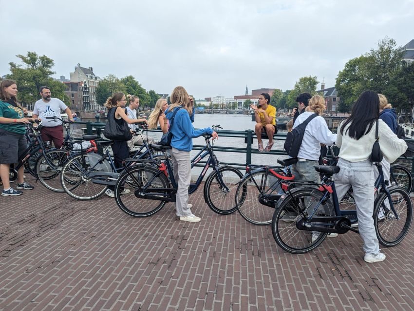 Amsterdam: Explore the City Highlights by Bike - Museumplein and Vondelpark: Culture Pass-By, Green Space Reset
