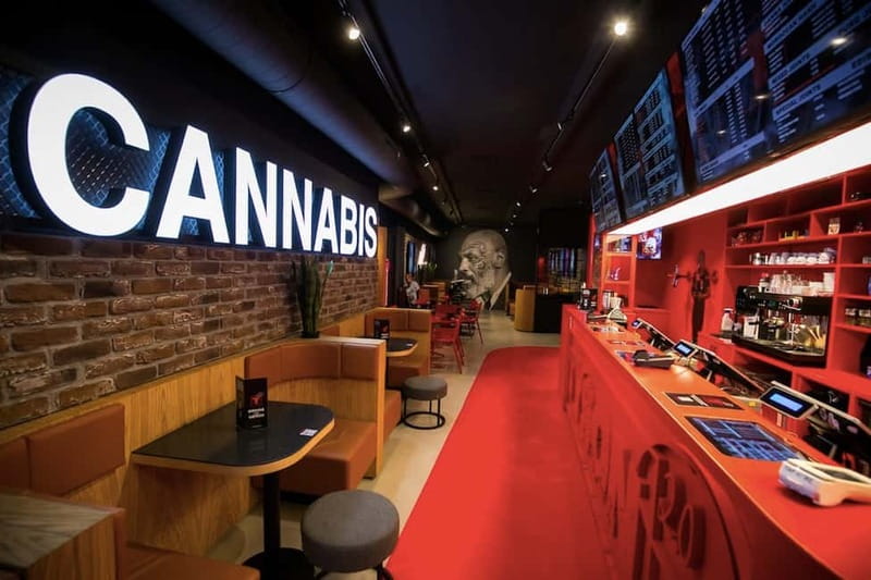 Amsterdam: Guided Ganja Walking Tour of Coffee Shops - What the walking route feels like (and why the duration matters)