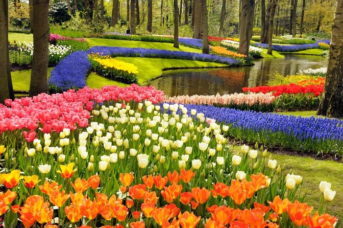 Amsterdam: Keukenhof and Zaanse Schans Windmills Guided Day Trip - Key highlights to know before you go