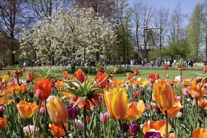 Amsterdam: Keukenhof Entry & Shuttle Bus with Flexible Return - Luxury coach to Keukenhof: short ride, big day-trip pay-off