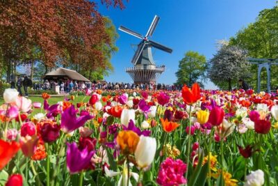 Amsterdam: Keukenhof Entry & Shuttle Bus with Flexible Return - Getting in: Keukenhof admission included, and that’s the real shortcut