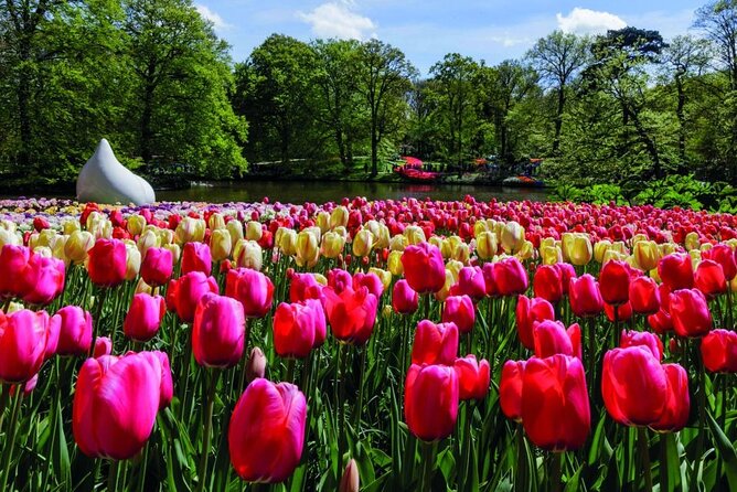 Amsterdam: Keukenhof Entry & Shuttle Bus with Flexible Return - What you’ll see in the garden (and why it works as a day trip)