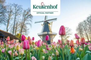 Amsterdam: Keukenhof Ticket and Roundtrip Shuttle Transfer - Getting to This is Holland: the ferry shortcut and the “arrival day” calm
