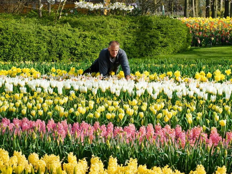 Amsterdam: Keukenhof Ticket and Roundtrip Shuttle Transfer - Ticket exchange in Amsterdam: what you must bring and what happens next
