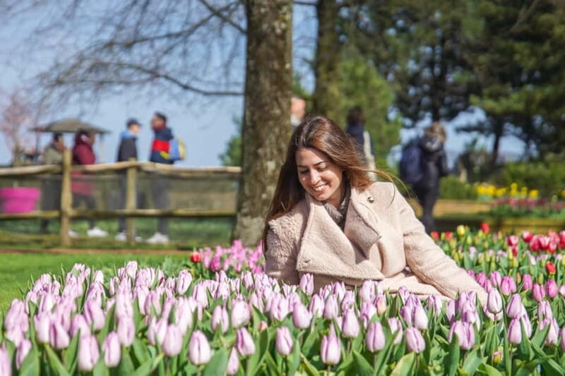 Amsterdam: Keukenhof Ticket and Roundtrip Shuttle Transfer - The coach ride: comfort, frequency, and what the bus actually does