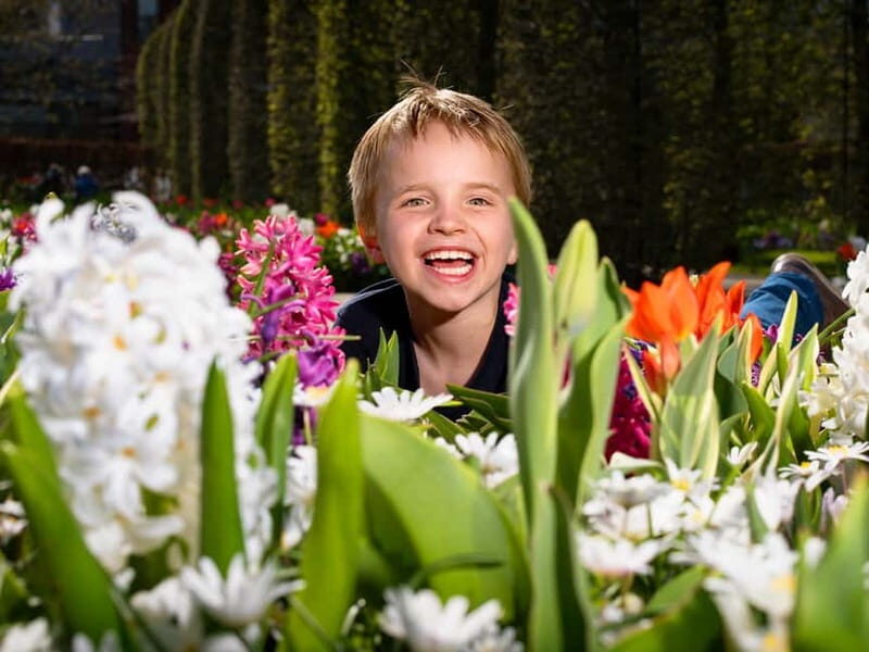 Amsterdam: Keukenhof Ticket and Roundtrip Shuttle Transfer - Entering Keukenhof: you get the ticket, then you walk your own route