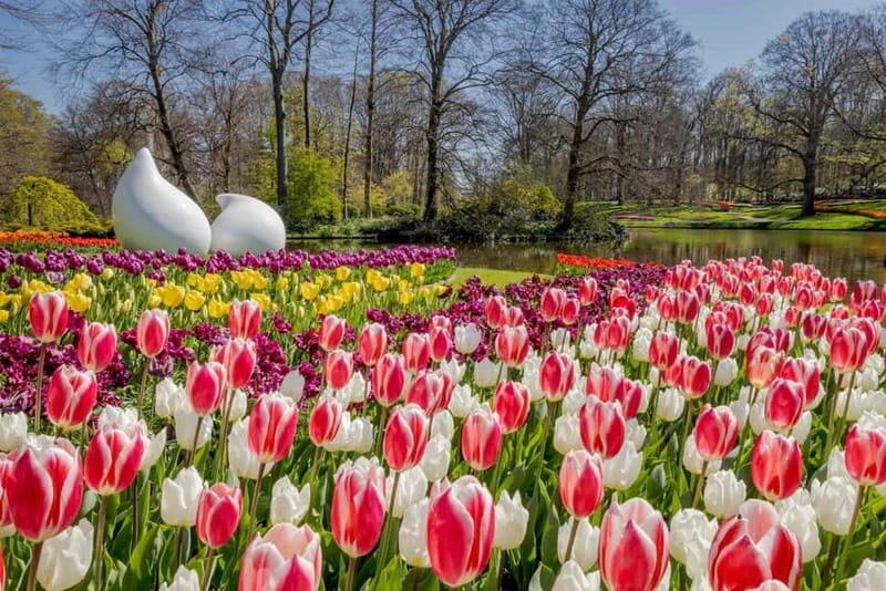 Amsterdam: Keukenhof Ticket and Roundtrip Shuttle Transfer - Return to Amsterdam: choose your moment without missing the bus