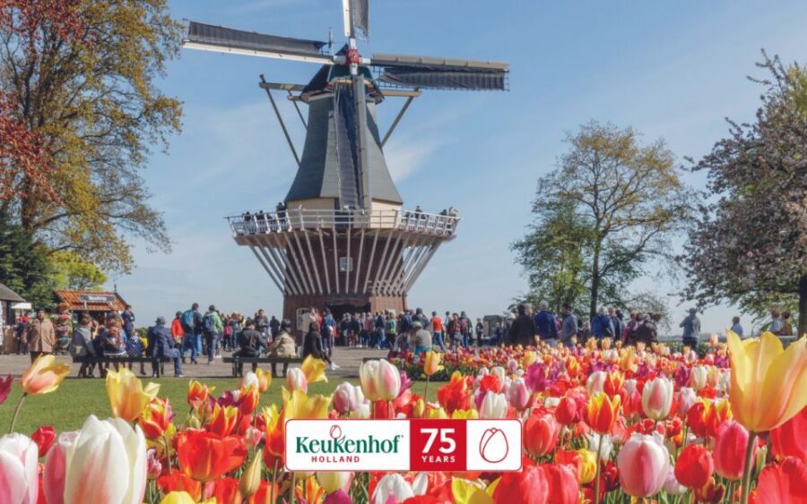 Amsterdam: Keukenhof Ticket and Roundtrip Shuttle Transfer - Included extras that make the day easier (and what isn’t included)