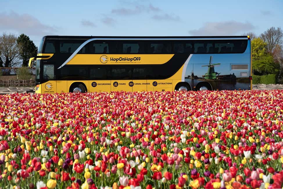 Amsterdam: Keukenhof, Tulip Farm Full-Day Tour with Cruise - Logistics that actually matter on a full spring day