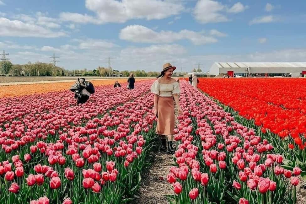 Amsterdam: Keukenhof, Tulip Farm Full-Day Tour with Cruise - The tulip farm visit with Daan and Anja: where the flowers become a story