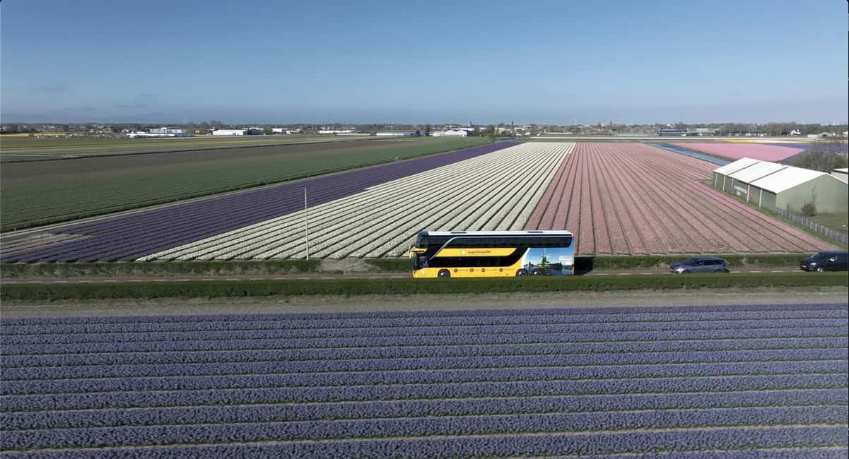 Amsterdam: Keukenhof, Tulip Farm Full-Day Tour with Cruise - Kagerplassen windmill cruise (1 hour): a calm pause with real Dutch machinery