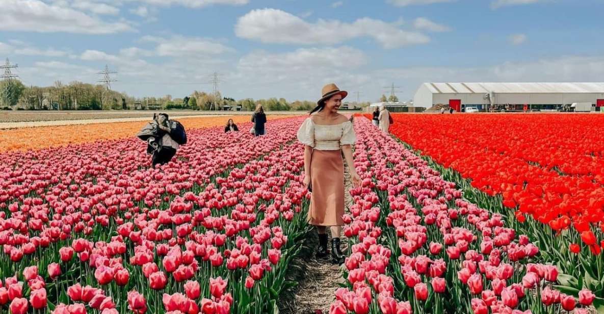 Amsterdam: Keukenhof, Tulip Farm Full-Day Tour with Cruise - Price and value: what you get for $96 that you’d otherwise pay extra for