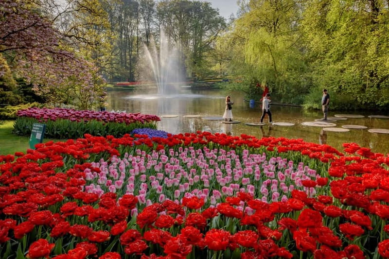 Amsterdam: Keukenhof, Tulip Farm Full-Day Tour with Cruise - The guides and coach commentary: small details that improve the day