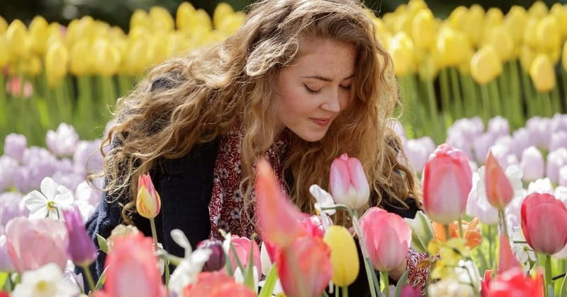 Amsterdam: Keukenhof, Tulip Farm Full-Day Tour with Cruise - Start at This is Holland: ferry access, easy waiting, and coffee