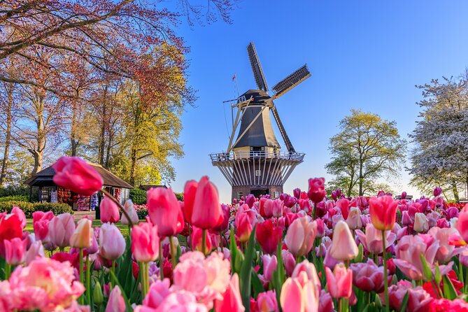 Amsterdam: Keukenhof, Zaanse Schans & Volendam Tour - Key highlights worth knowing before you go
