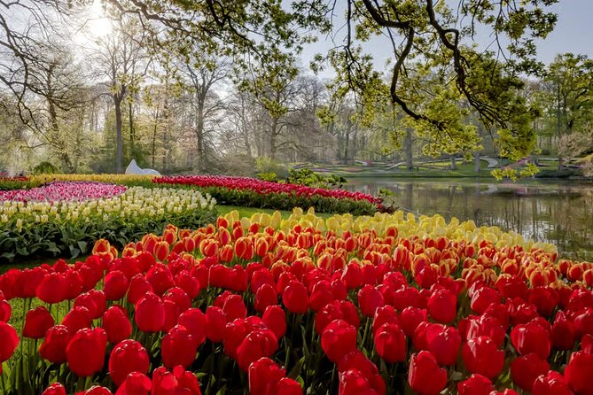 Amsterdam: Keukenhof, Zaanse Schans & Volendam Tour - Price and value: what you’re paying for at $83.38