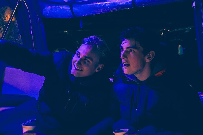 Amsterdam: Light Festival Cruise with Unlimited Drinks Option - Who should book this cruise (and who should consider alternatives)