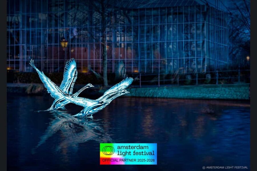 Amsterdam: Light Festival Heated Cruise with Drinks & Snacks - Why this heated Light Festival cruise works in winter