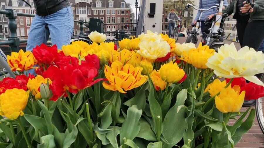 Amsterdam: Off the Beaten Path Bike Tour in French - Warehouses and Plantage: seeing Amsterdam’s everyday layers