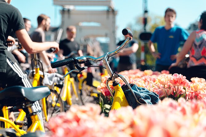 Amsterdam Small Group Bike Tour - Two hours to get your bearings on two wheels