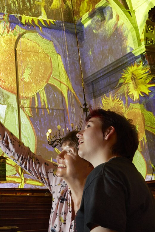 Amsterdam: Van Gogh and Rembrandt Immersive Experience Entry - Price and value: is $17 reasonable for a 45-minute show?