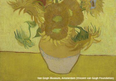 Amsterdam: Van Gogh Museum Guided Tour with Entry - Meeting Point at Paulus Potterstraat 7 (and finding your guide fast)