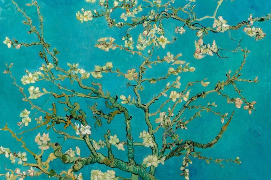 Amsterdam: Van Gogh Museum Ticket and City Canal Cruise - Key Things I’d Bet On