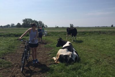 Amsterdam's Countryside Half-Day Bike Tour in Small Group - The ride rhythm: fast out of town, then open road