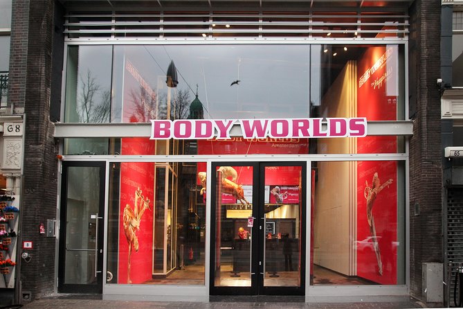 Body Worlds Amsterdam Admission Ticket - Entering Body Worlds: what you’ll do first