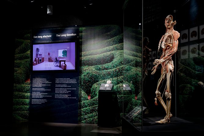 Body Worlds Amsterdam Admission Ticket - How long should you plan for? (And how to avoid leaving too early)