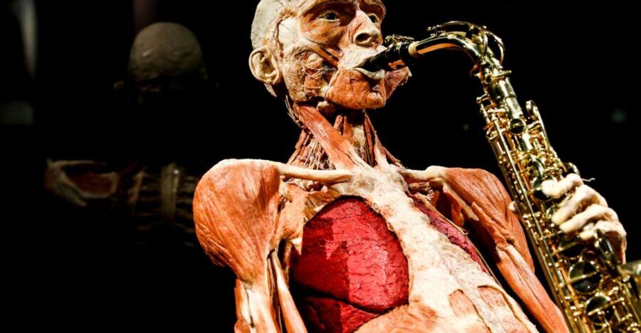 Body Worlds Amsterdam: The Happiness Project Ticket - Damrak arrival and the InBody scan first step