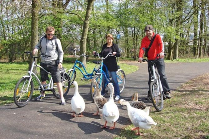 Cheese, Canals & Windmill Countryside E-Bike Tour Amsterdam - Who this tour suits best (and who should skip it)