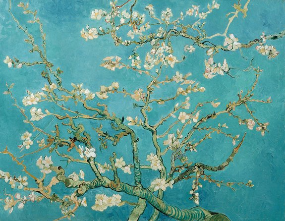 Combo Ticket: Van Gogh Museum Ticket and 1-Hour Canal Cruise - Timed Van Gogh Museum Entry that actually saves time