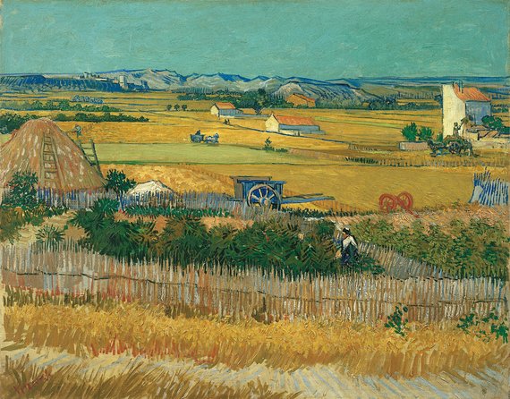 Combo Ticket: Van Gogh Museum Ticket and 1-Hour Canal Cruise - 1-hour canal cruise with GPS audio: the view and the listening